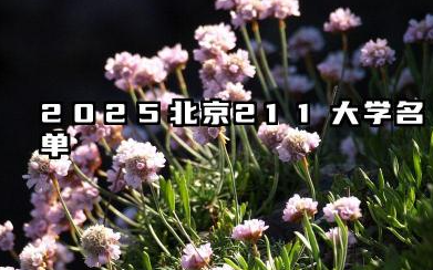 北京211大学有哪些 2025北京什么211大学值得报