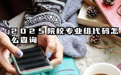 2025院校专业组代码在哪里查 高考志愿专业组代码怎么填写