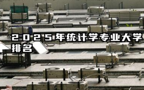 2025年统计学专业大学排名 统计学专业的就业前景怎么样