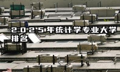 2025年统计学专业大学排名 统计学专业的就业前景怎么样
