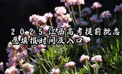 2025江西高考提前批志愿填报时间及网址入口 2025江西高考提前批志愿可以报几个学校