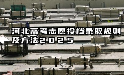 2025河北高考录取规则及方法 2025河北高考平行志愿填报技巧