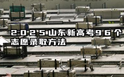 2025山东新高考96个志愿录取方法 2025山东96个志愿该怎么填报