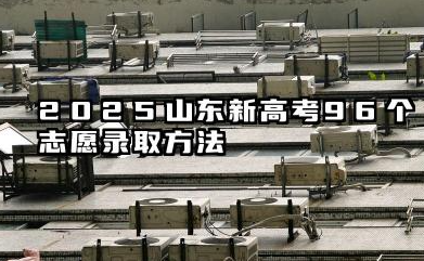 2025山东新高考96个志愿录取方法 2025山东96个志愿该怎么填报