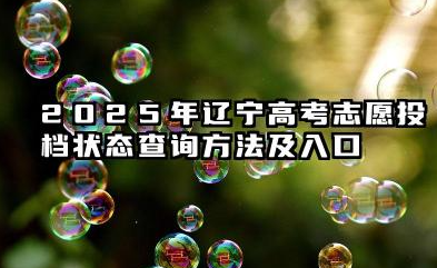 辽宁高考志愿投档状态2025年查询方法及入口 已投档被退档的几率大吗