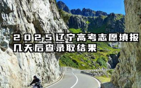 辽宁高考志愿投档状态2025年查询方法及入口 投档轨迹怎么查