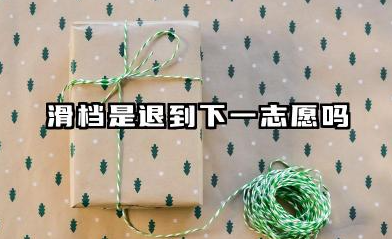 滑档是退到下一志愿吗 滑档的原因有哪些