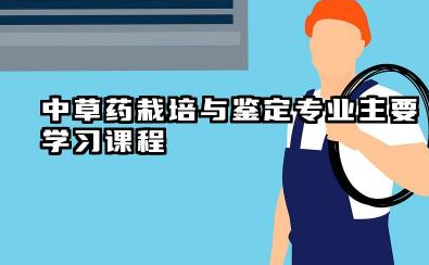 2025中草药栽培与鉴定专业主要学什么课程 中草药栽培与鉴定专业就业方向及就业前景