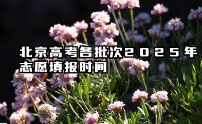 北京高考各批次2025年志愿填报时间 北京高考2025年志愿能填多少大学