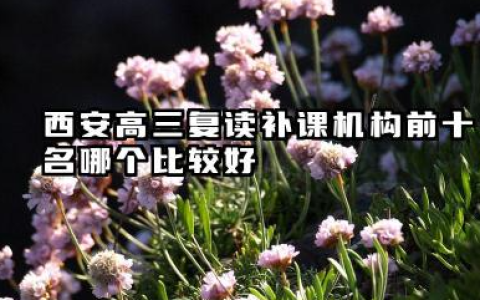 西安高三复读补课机构前十名哪个比较好 高三复读一对一辅导学习效果如何评估