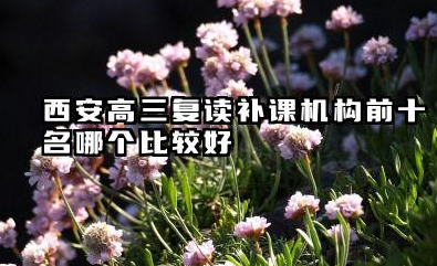 西安高三复读补课机构前十名哪个比较好 高三复读一对一辅导学习效果如何评估