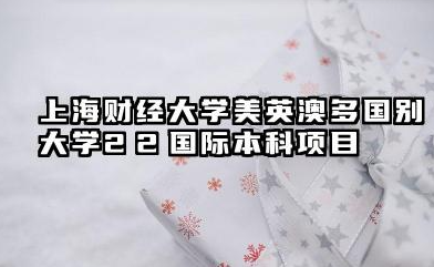 上海财经大学美英澳多国别大学2+2国际本科项目介绍详解