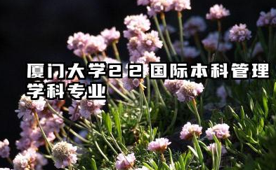 厦门大学2+2国际本科管理学科专业介绍 厦门大学国际本科留学项目一览表