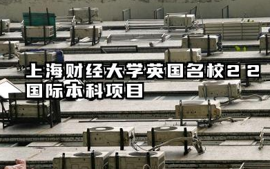 上海财经大学2+2国际本科人工智能信息技术专业介绍