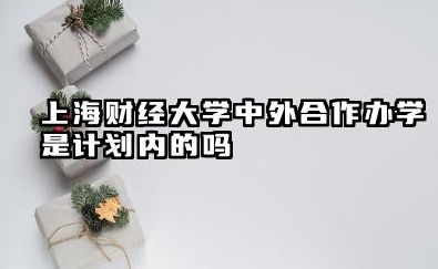 上海财经大学中外合作办学是计划内的吗 上海财经大学中外合作办学是全日制吗