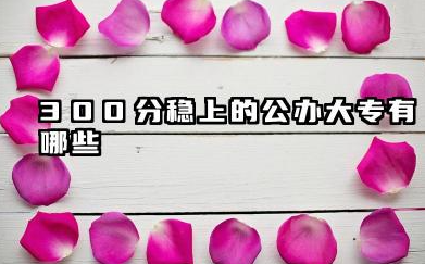 300分稳上的公办大专有哪些 2025值得推荐的大专院校名单