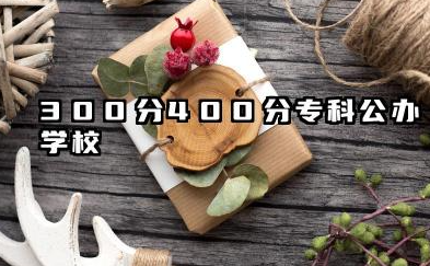 300分-400分专科公办学校推荐 2025能上哪些院校