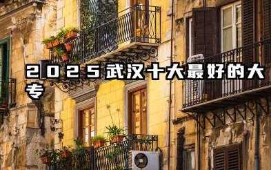 武汉十大最好的大专院校 武汉最好的公办职业学校