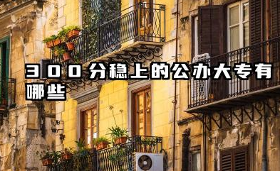300分稳上的公办大专有哪些 2025值得推荐的大专院校名单