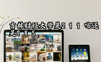 吉林财经大学是211吗还是985 吉林财经大学重点、特色专业