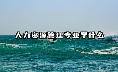 人力资源管理专业课程有什么 人力资源管理专业的就业前景怎么样