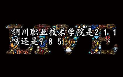 铜川职业技术学院是211吗还是985 铜川职业技术学院口碑评价