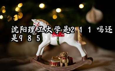 沈阳理工大学是211吗还是985 怎么样值得读吗及学长学姐评价