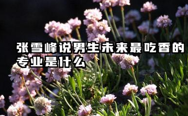 张雪峰说男生未来最吃香的专业 男生学什么专业赚钱