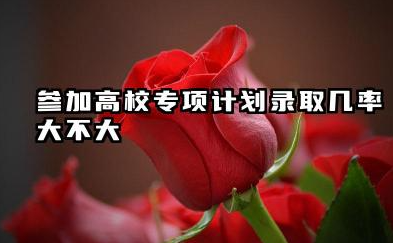 高校专项计划录取几率大吗 2025高校专项优劣势分析