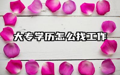 大专学历怎么找工作 有哪些途径和渠道