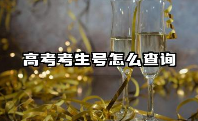 高考考生号怎么查询 高考考生号重要吗