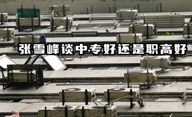 张雪峰谈中专和职高哪个好 中专和职高怎么选择好
