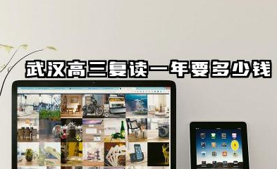 武汉高三复读一年要多少钱 收费标准与机构选择指南
