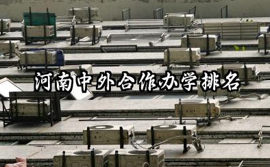 2025河南中外合作办学排名 河南中外合作办学哪个学校最好