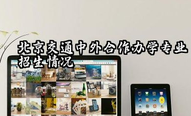 北京交通中外合作办学有计划外自主招生吗 北京交通中外合作办学专业招生情况