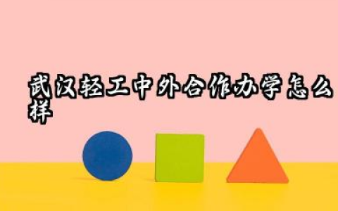 武汉轻工中外合作办学怎么样 武汉轻工中外合作办学好就业吗