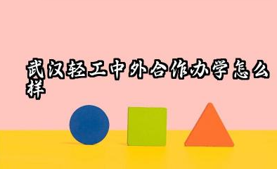武汉轻工中外合作办学怎么样 武汉轻工中外合作办学好就业吗