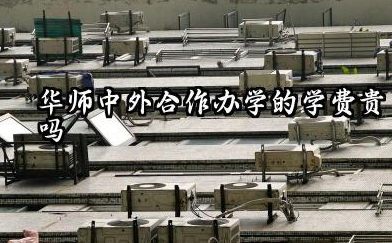 华师中外合作办学的学费贵吗 华师中外合作办学一年能拿多少奖学金