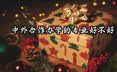 中外合作办学的专业好不好 中外合作办学专业和正常的专业一样吗