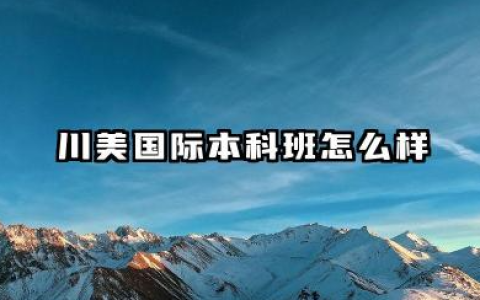 川美国际本科班怎么样 川美国际本科学费多少钱