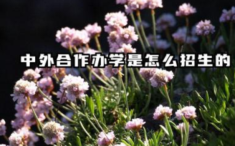 中外合作办学是怎么招生的 中外合作办学办学类型有哪几种