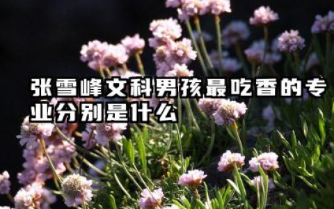张雪峰文科男孩最吃香的专业 张雪峰文科男孩选哪些专业高薪