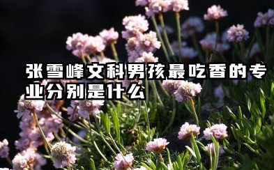 张雪峰文科男孩最吃香的专业 张雪峰文科男孩选哪些专业高薪
