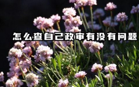 怎么查自己政审有没有问题 政审主要审查内容是什么