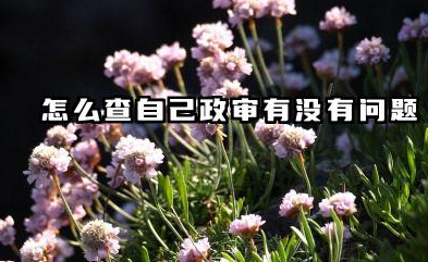 怎么查自己政审有没有问题 政审主要审查内容是什么