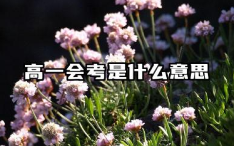 高一会考是什么意思 会考不合格怎么办
