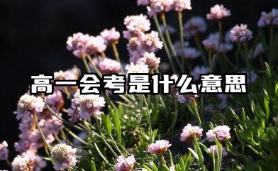 高一会考是什么意思 会考不合格怎么办
