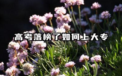 高考落榜了怎么上大专 高考落榜了可以上的学校