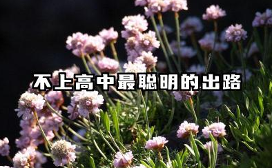 不上高中最聪明的出路 不上高中干什么有前途