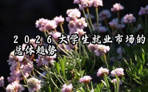 普通大学生最好的出路 2026大学生就业市场的总体趋势
